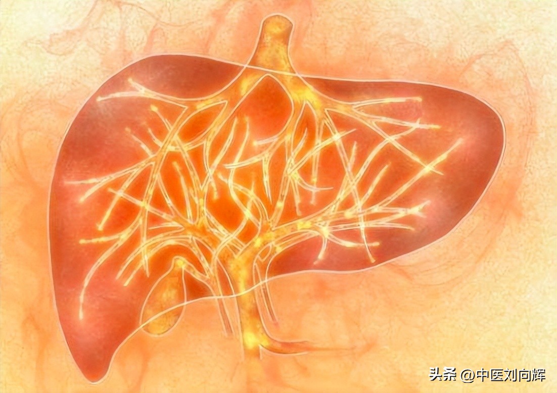 调肝解郁中成药,补脾又调肝记住4味药