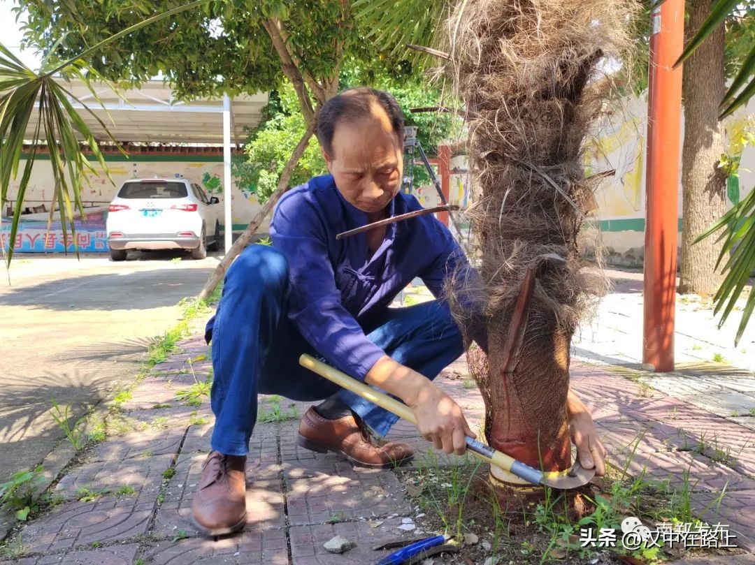 非遗项目棕编,非遗棕编继承创新