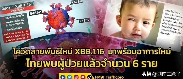 “二次阳”真的开始了？最新“毒王”Xbb.1.16已进入我国