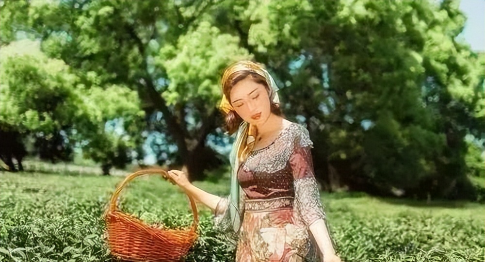 武夷星枞魁茶叶价格 (芳魁茶业有限公司电话)