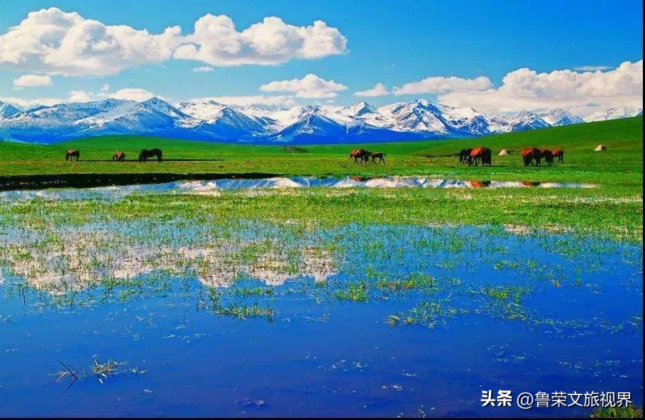 大美新疆的风景有哪些,大美新疆北疆美