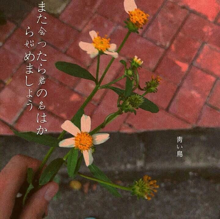 寻找你十几年念念不忘的人文案,念念不忘短句完整版