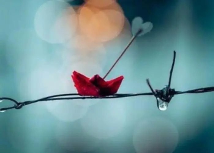 中年女人为什么不容易对异性动心,中年女性为什么对异性失去兴趣