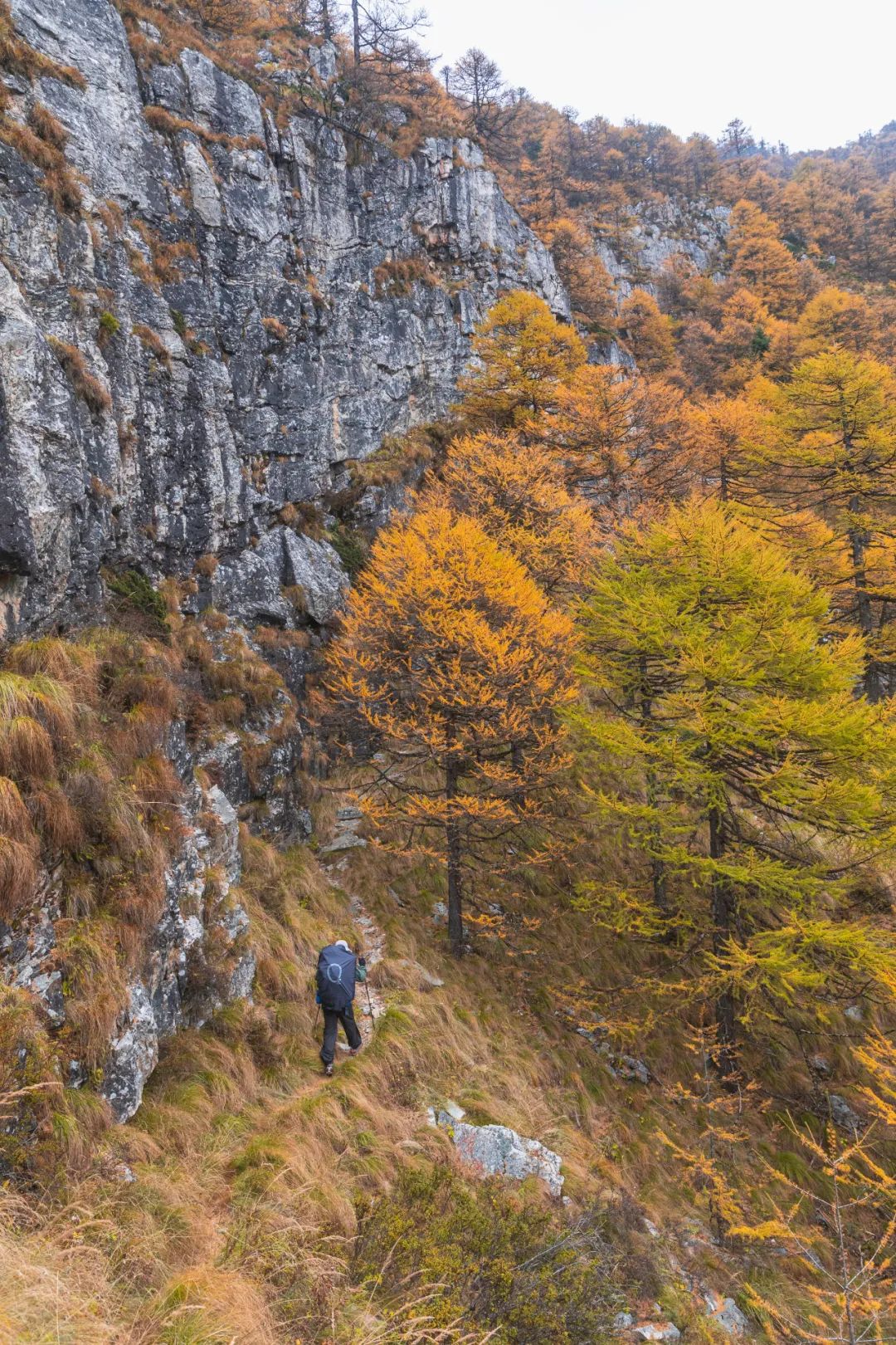 太白山是陕西最高点吗,秦岭最高峰太白山