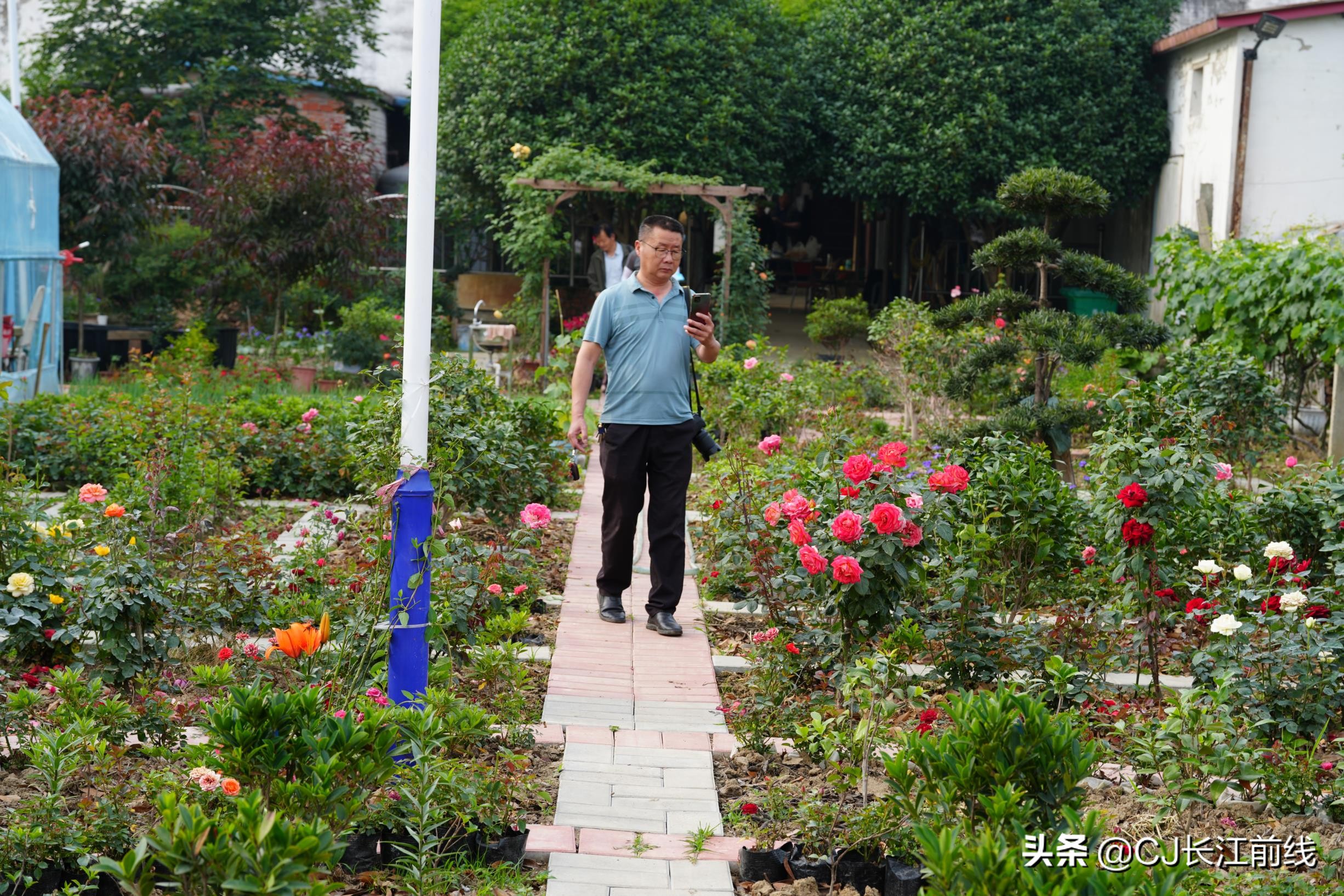 河南淮滨:乡政府旁的“樊家花园”(组图)