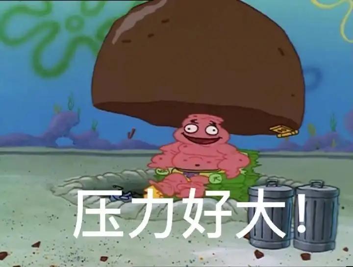 中科院科研报告,中科院研究报告