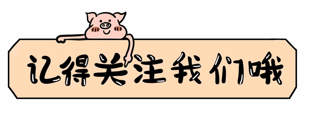 取消了公务员车补了吗,公务员车补和绩效是否叫停