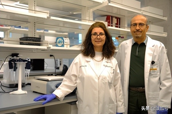 突破性创新和颠覆性创新,创新药物革新糖尿病治疗