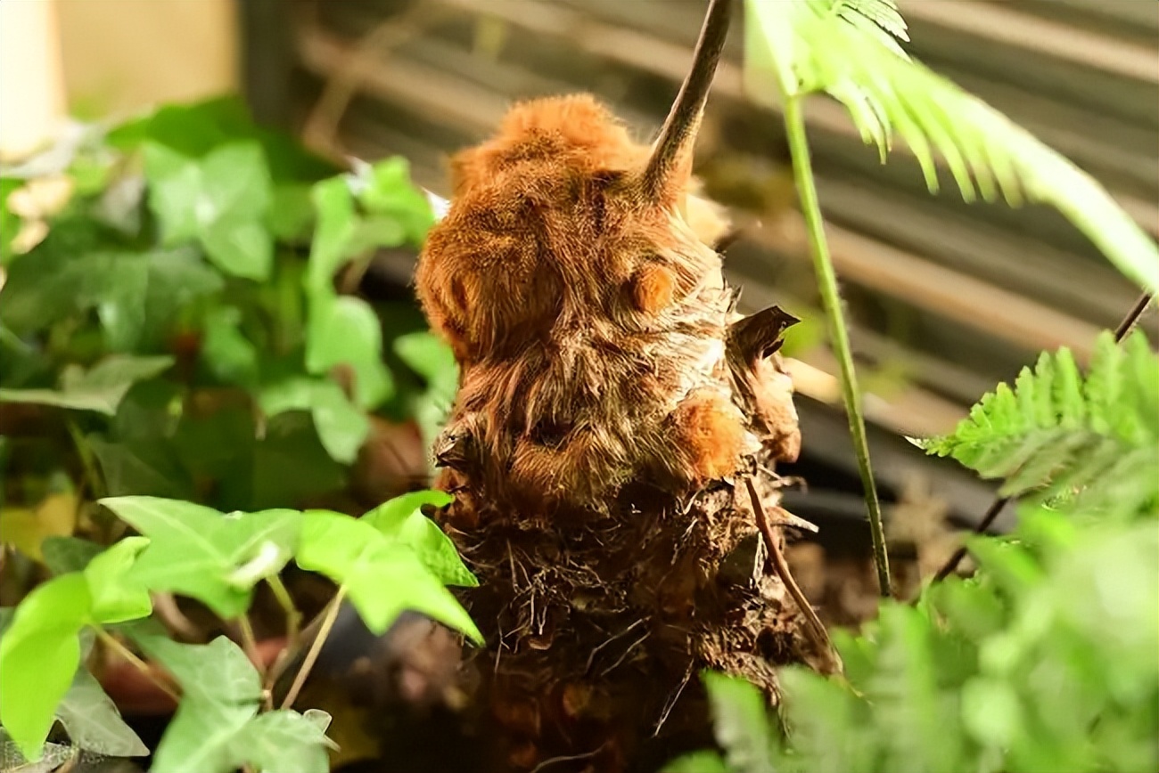 青岛城阳区搬家整理,青岛城阳搬家