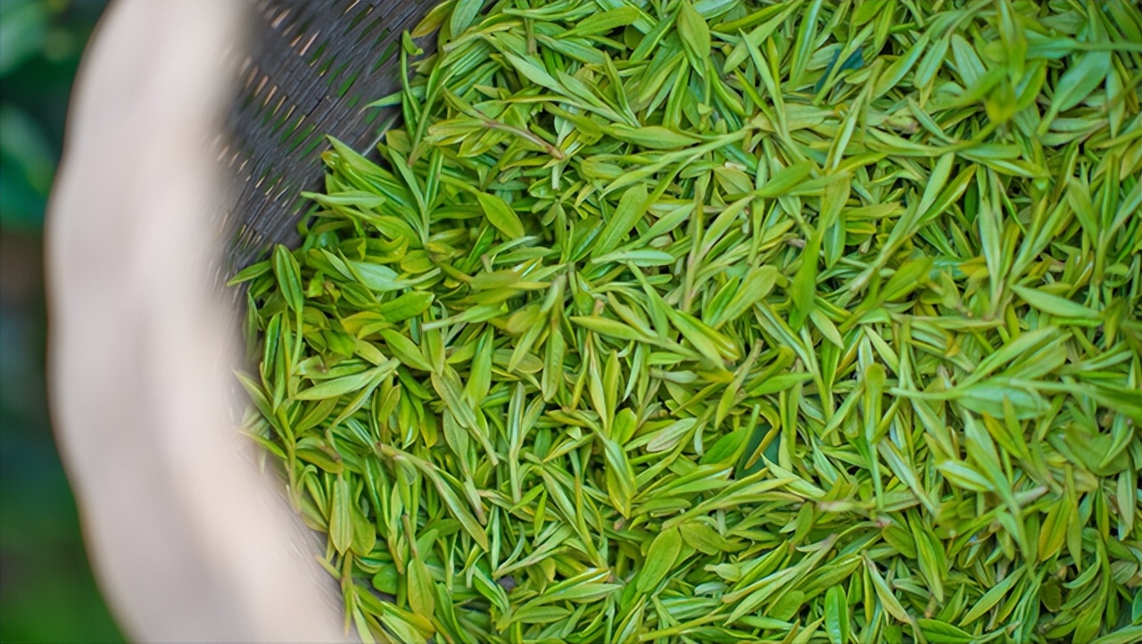 八种能快速减脂的天然减肥茶配方,减肥减脂茶