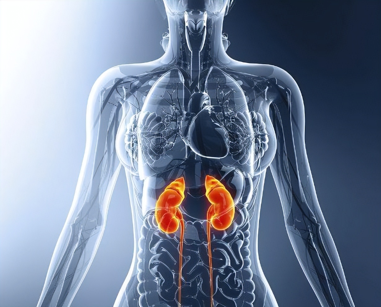 风湿痹阻辨证分析,风湿热痹的中医辨证分析