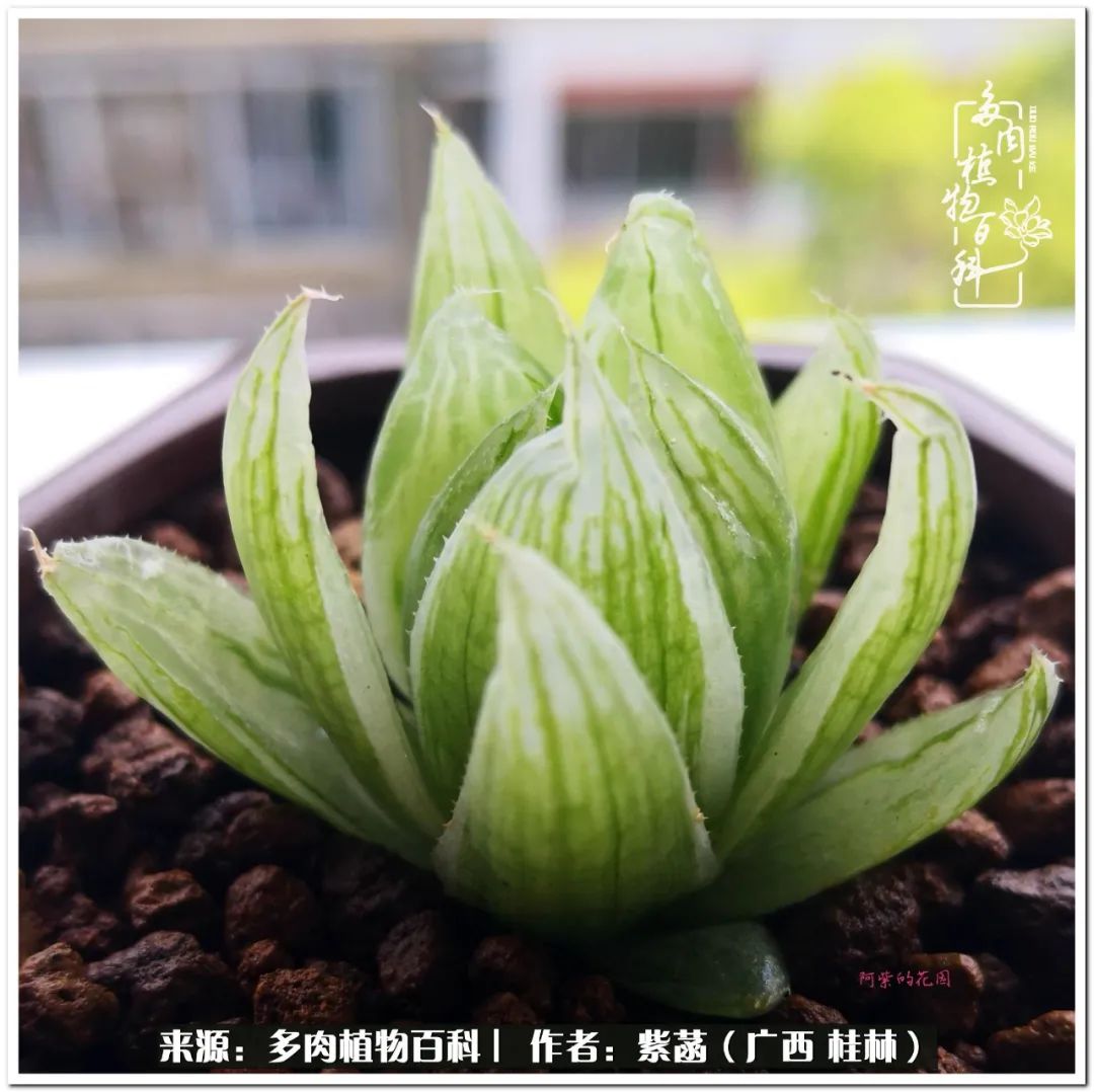 酷暑里的关爱，如十二卷般透亮绵长