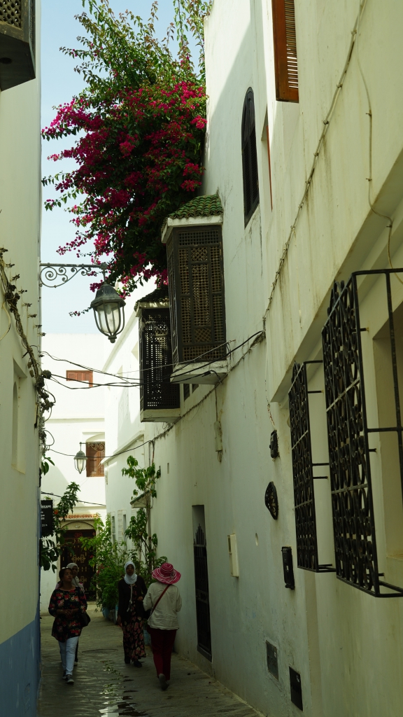 云中鹤空灵音乐,云中鹤钢琴曲