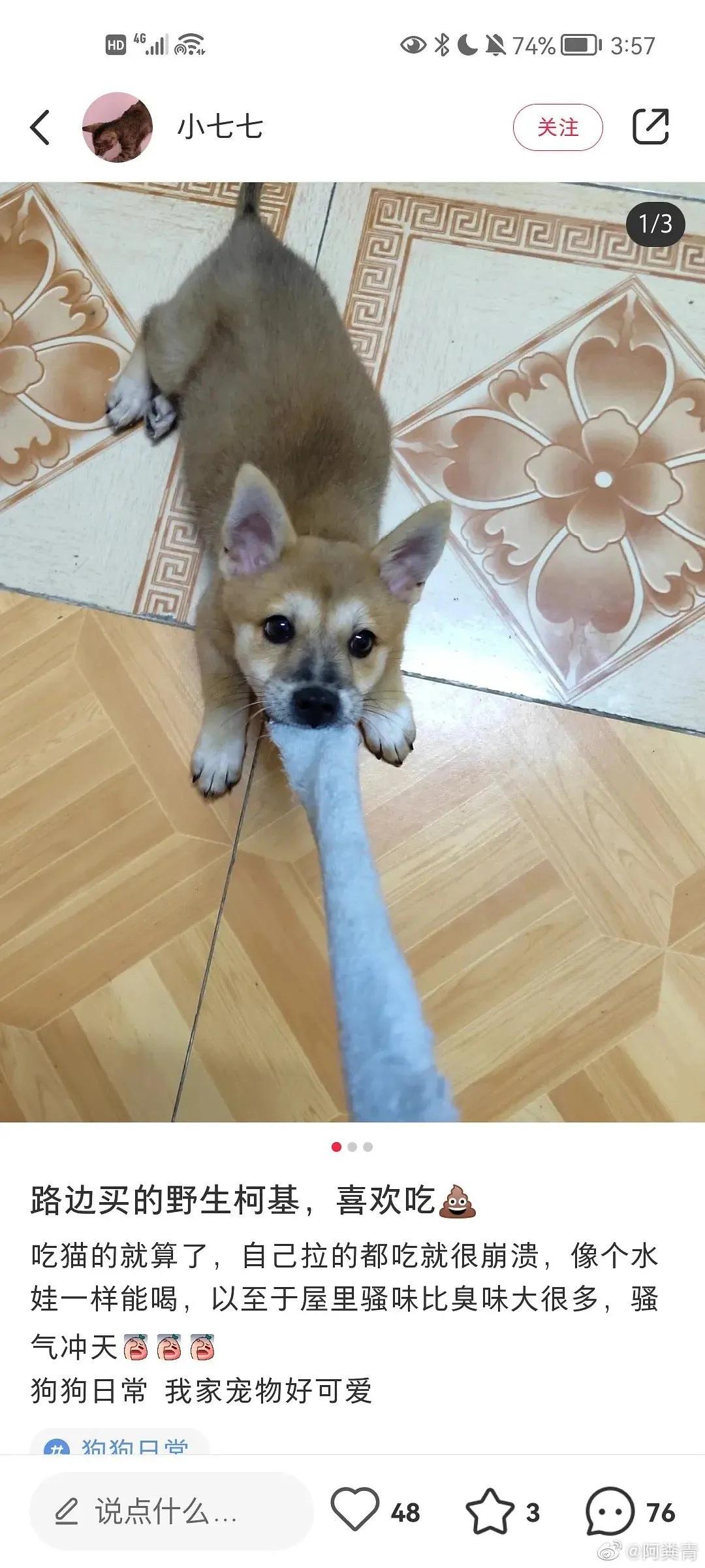 家里监控回放太揪心,家庭监控真实事件