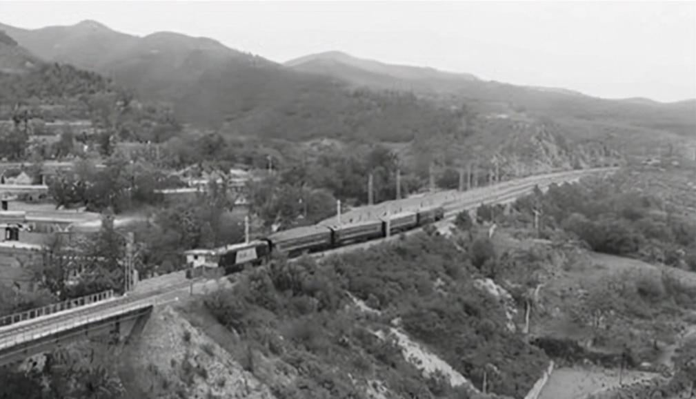 女飞贼被抓,女飞贼宋莲萍拜高僧为师轻功了得