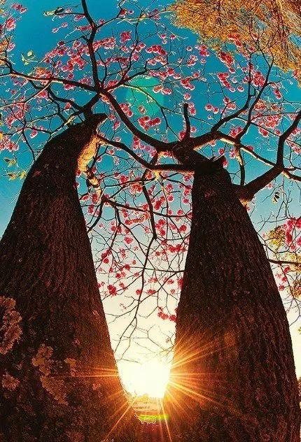 一个人最好的状态就是努力与梦想,一个人最好的状态是努力成长