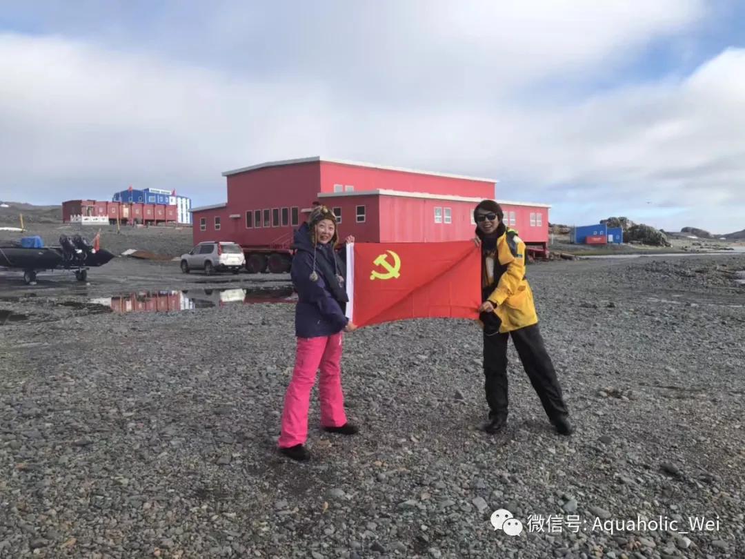 我在南极养企鹅,我在南极的日子