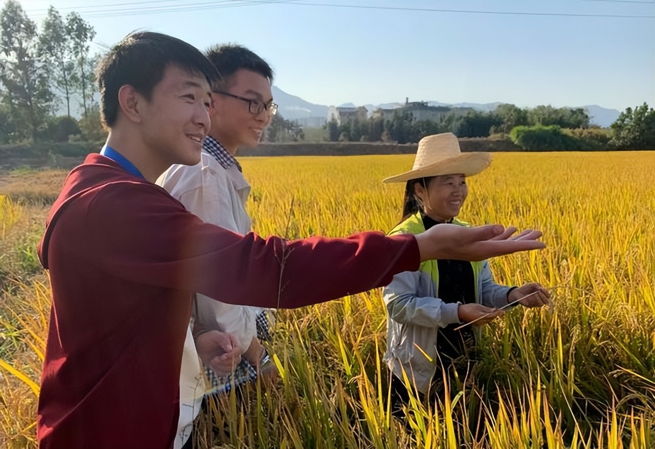 今明两年研究生就业形势,2021年研究生比较容易好考的专业