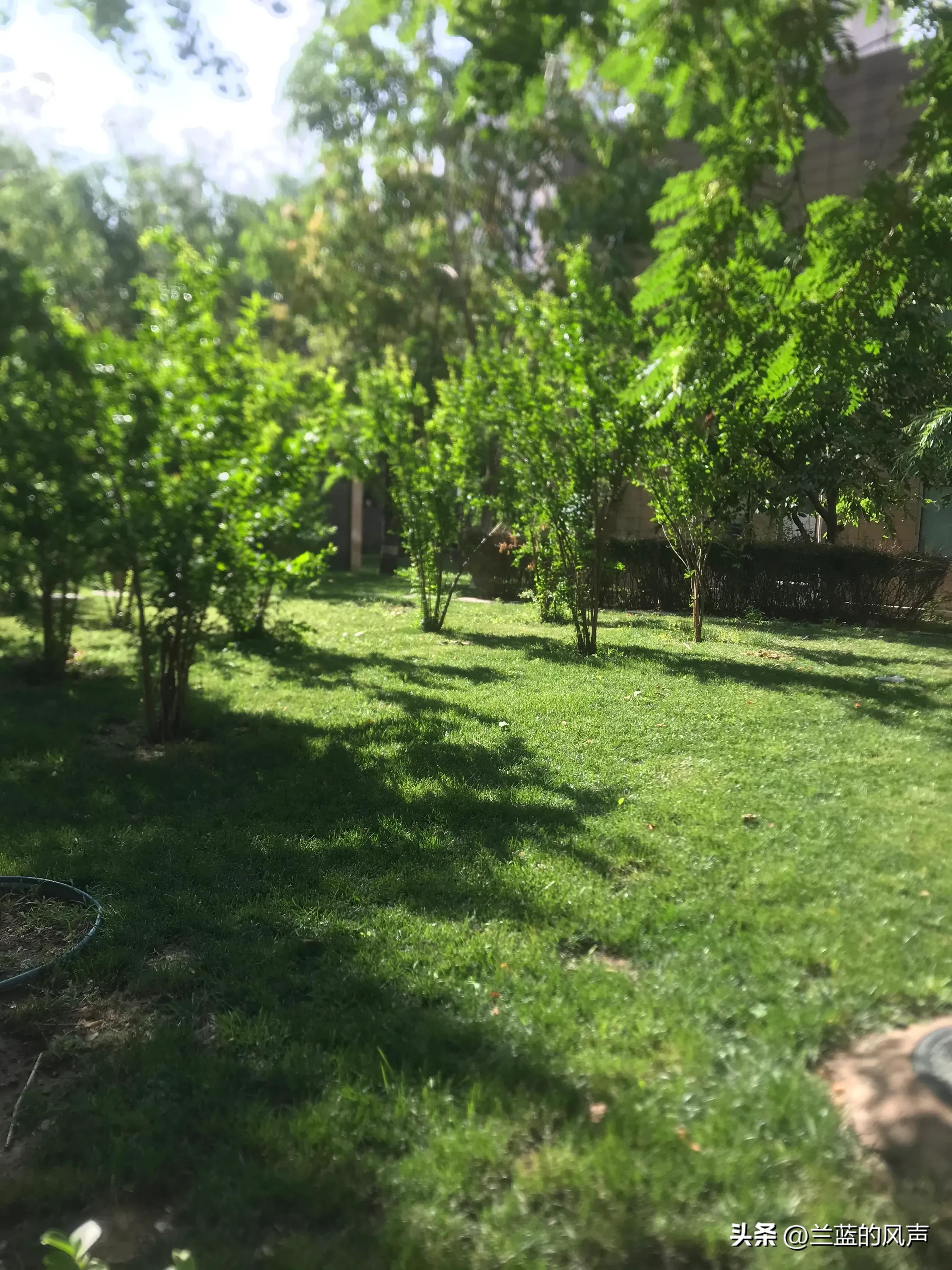 励志情感语录人生感悟,励志情感语录文案