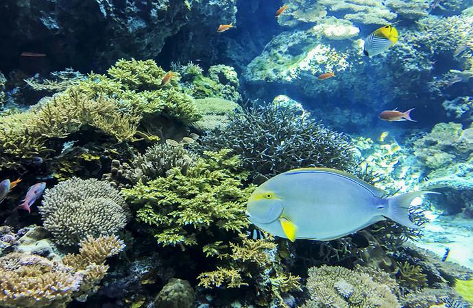 冲绳值得去一次的地方,冲绳好玩