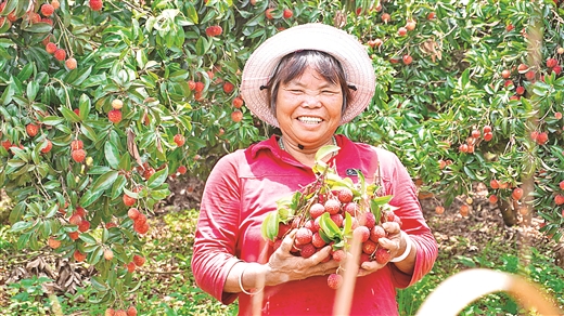 梧州新规划扩建规模,梧州新兴路改造