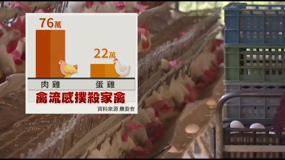 很怕客人点蛋包饭…彻夜排队只买到十颗蛋,台湾蛋荒,前所未见!