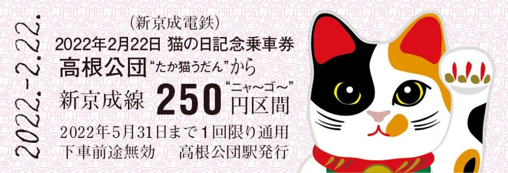 8.8国际猫咪日,日本猫的节日