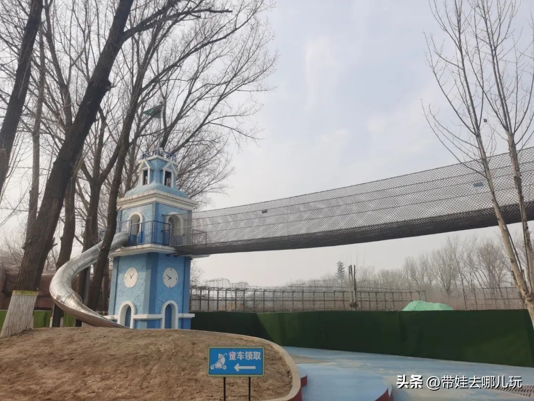 一天玩遍北京野生动物园,包场去鸟巢