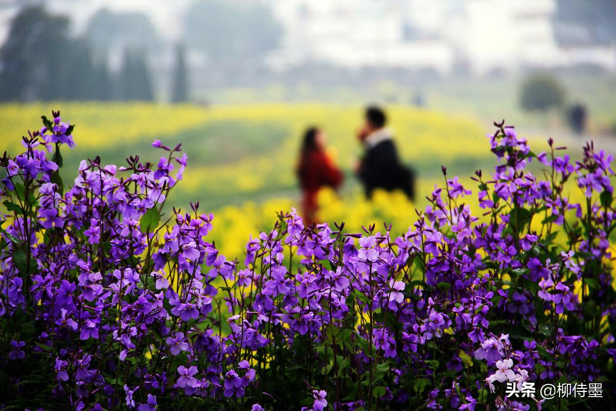 手机拍照要注意的几大要素有什么,手机拍照特别不清晰怎么办