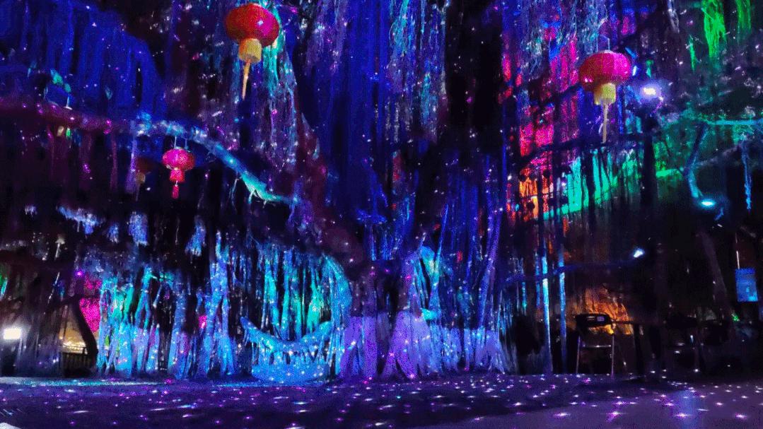 厦门遛娃排行榜,厦门旅游景点遛娃