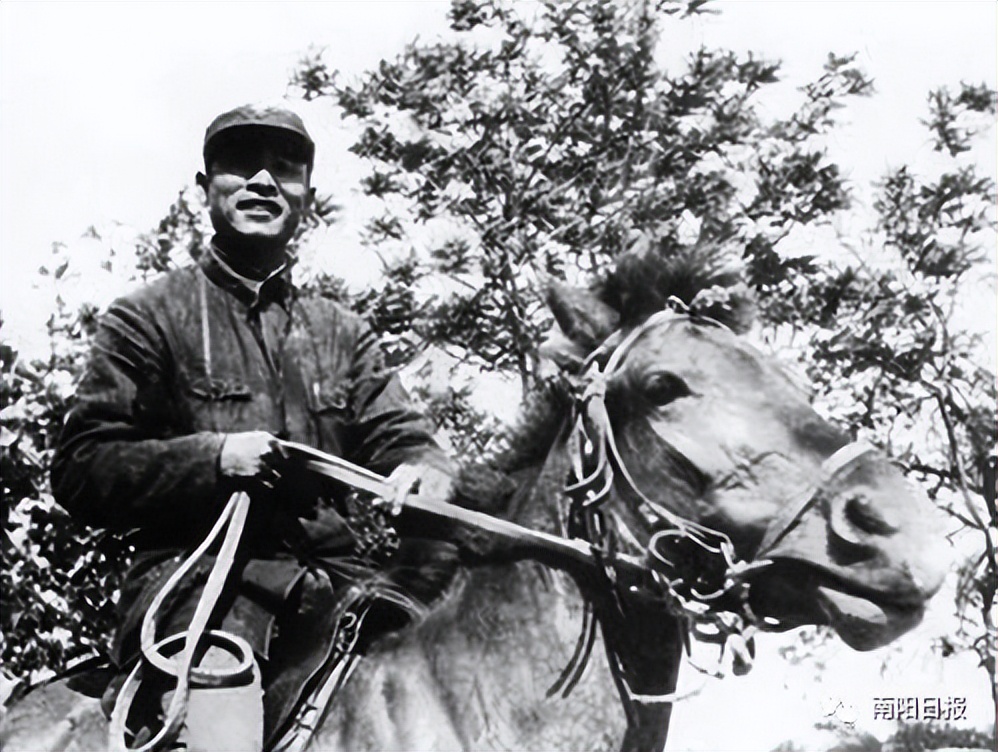 行走河南读懂中国焦作文章,行走河南读懂中国为主题的范文