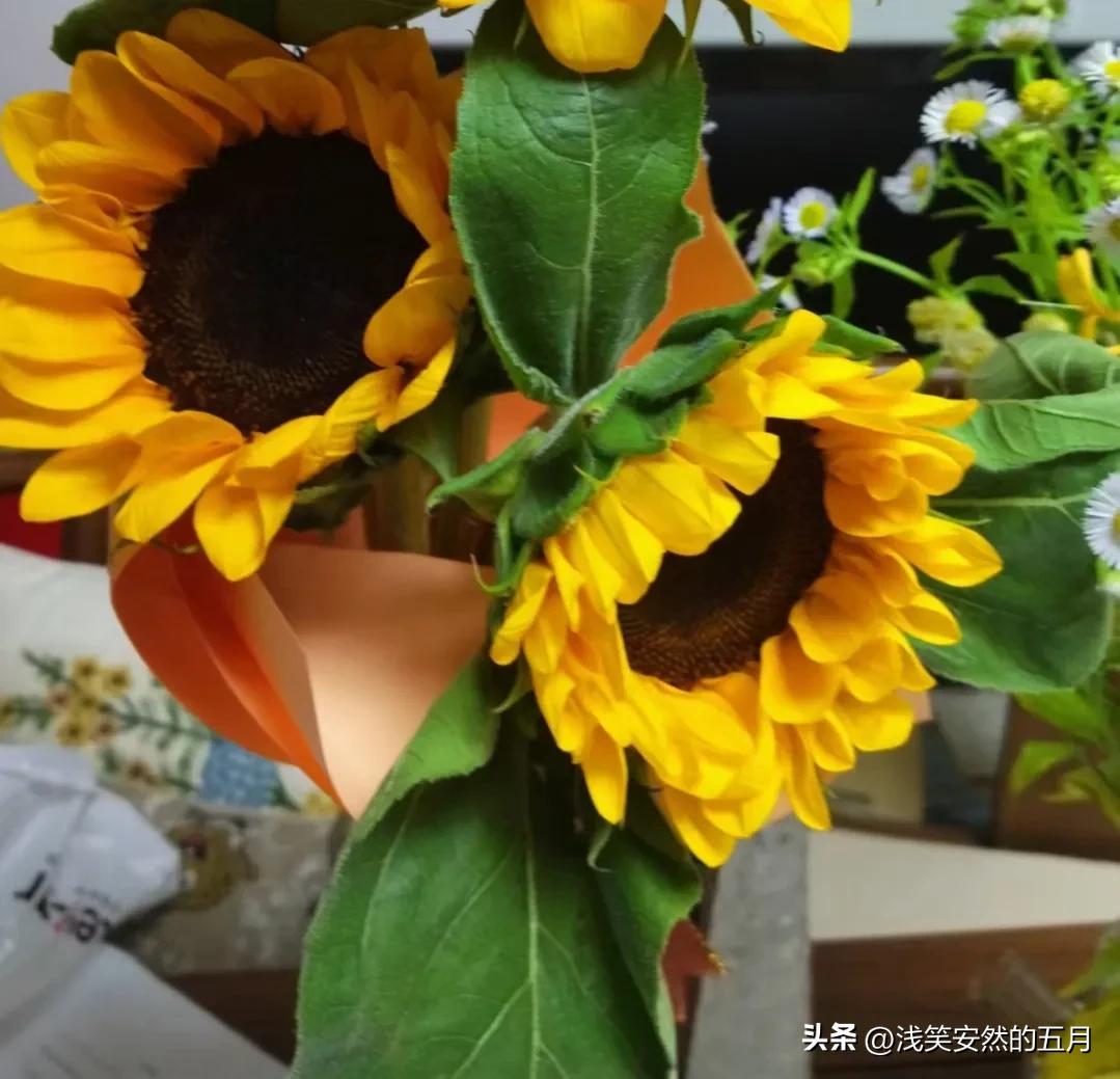 我，月收入为零的家庭妇女，挣得最大的钱是100万