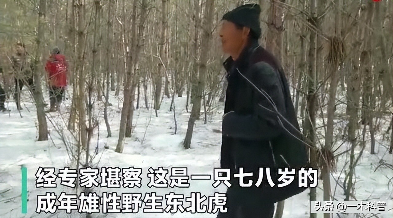 原地不动抗毒技巧,原地奔跑跳不了怎么办