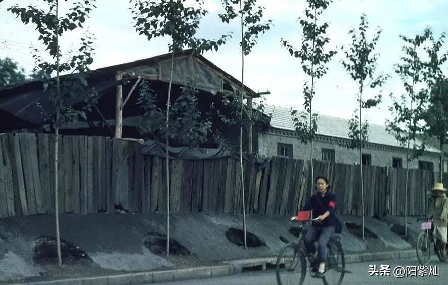 纳粹德国屠杀犹太女人,变态纳粹