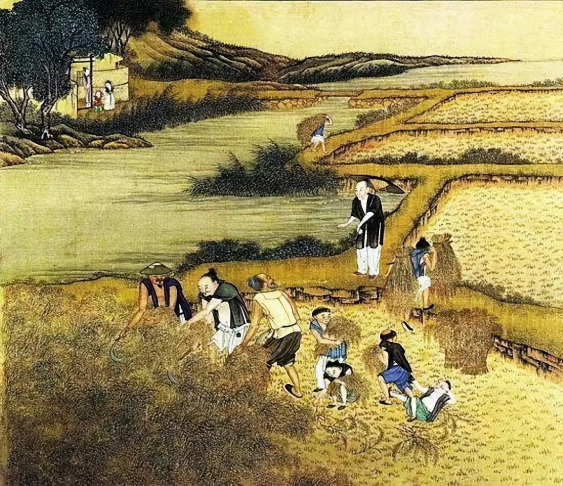 中国人没白人高比日本人矮！事实果真如此吗？别再被谣言给骗了