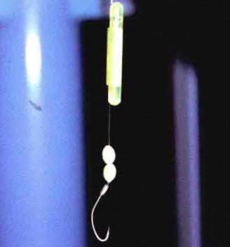 海钓鳗鱼选择夜钓是关键「日本专业海钓入门防波堤钓书籍」