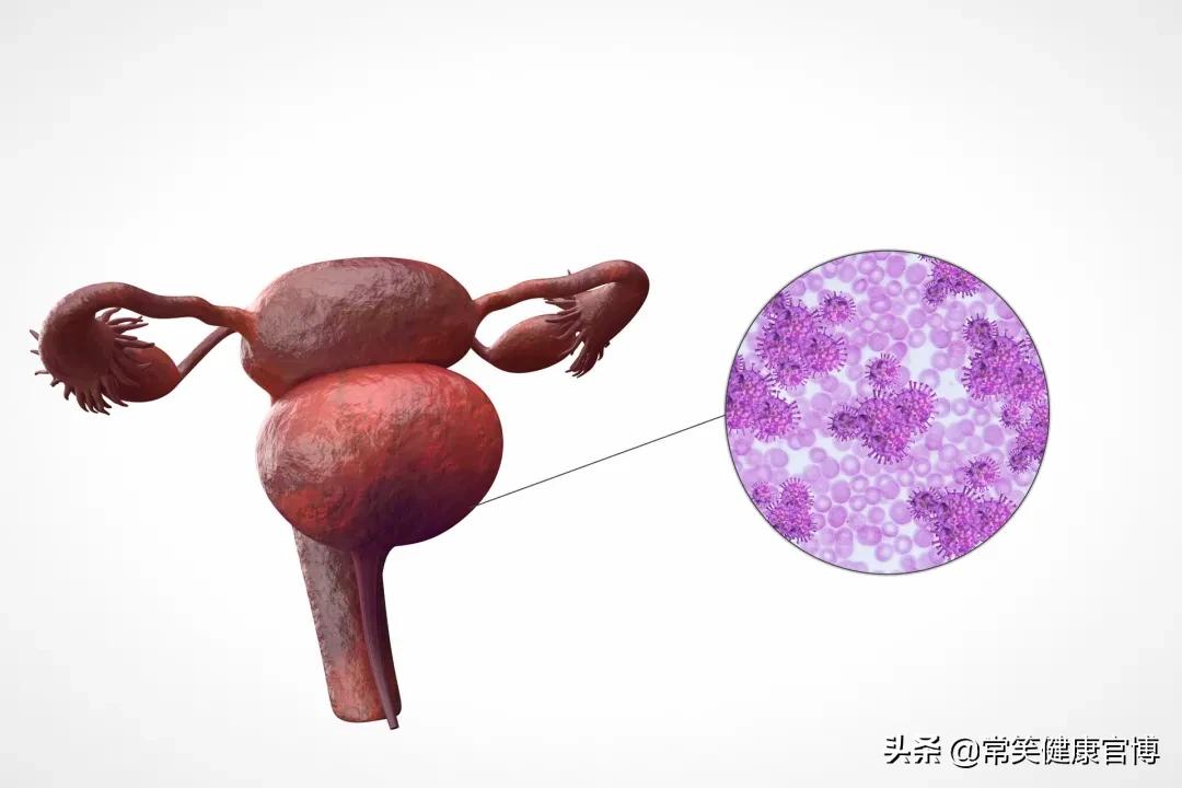 怀孕早期跟来大姨妈的白带区别,从怀孕了解宝宝