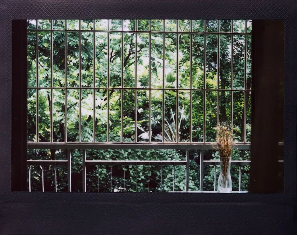 玩转器械,第一次玩胶片摄影