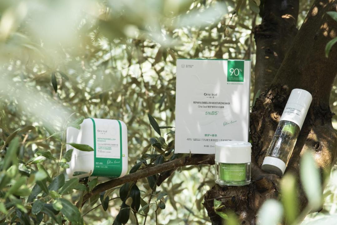 8000字拆解，一叶子的两次重要升级对化妆品行业的启示？