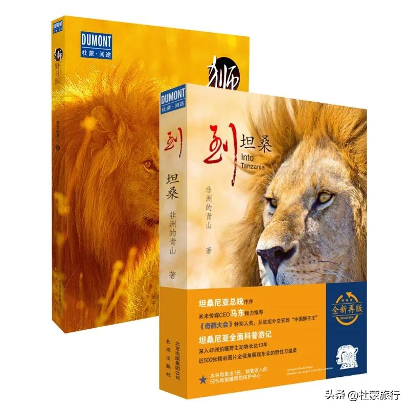 跟随“中国狮子王”，到坦桑看绝色非洲