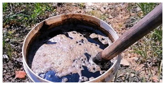 自己堆的肥料长虫长蛆怎么处理,施水肥后多虫子的原因