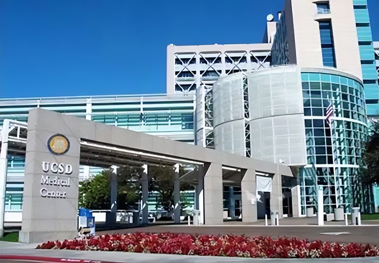 学姐分享丨心理学申请，CV\PS\推荐信如何侧重才能吸引招生官？