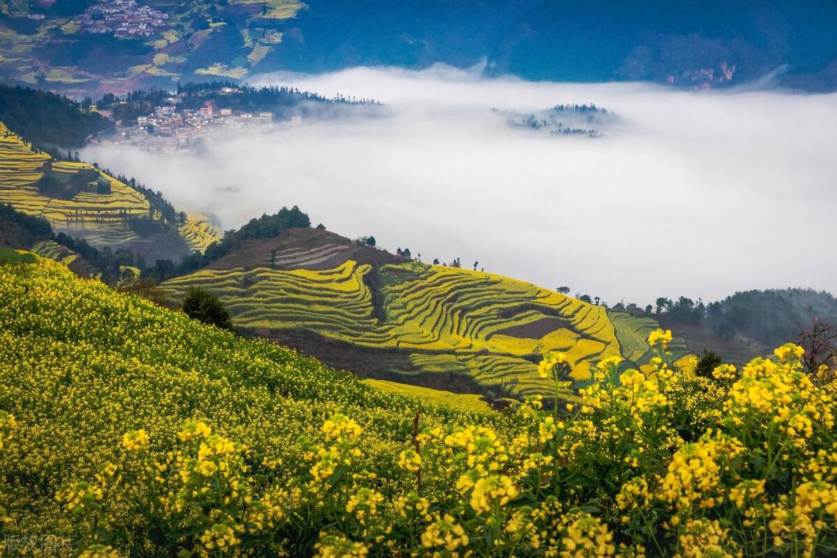 去云南旅游哪些美食值得推荐呢,去云南旅游当地有什么特色美食