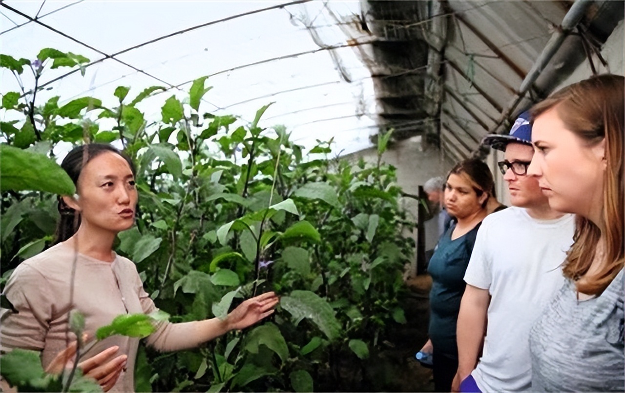 清华女博士放弃高薪工作,清华女生放弃百万年薪去乡村教书