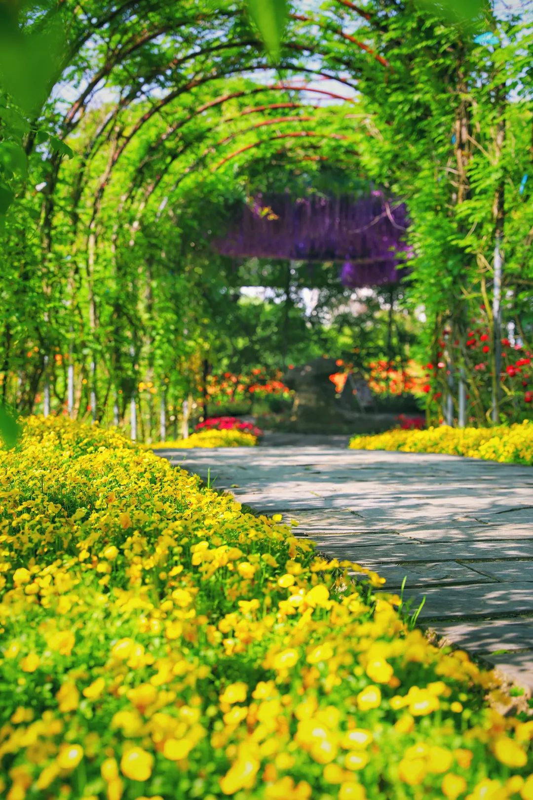 安徽黄山市旅游攻略推荐,黄山市夏季旅游线路攻略大全最新