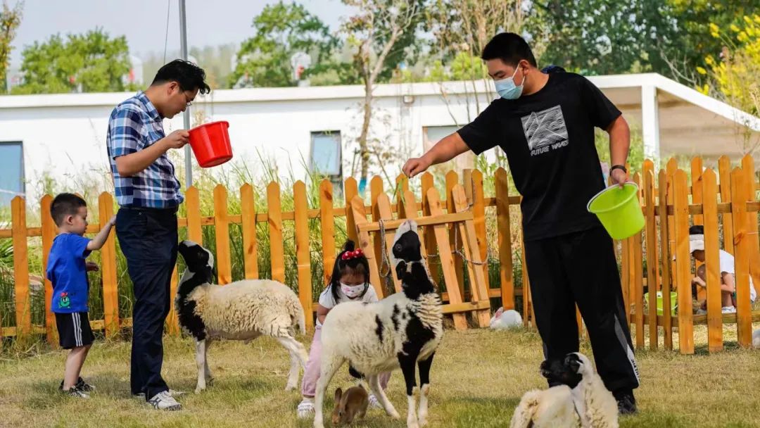 全国第八！合肥这么“热”