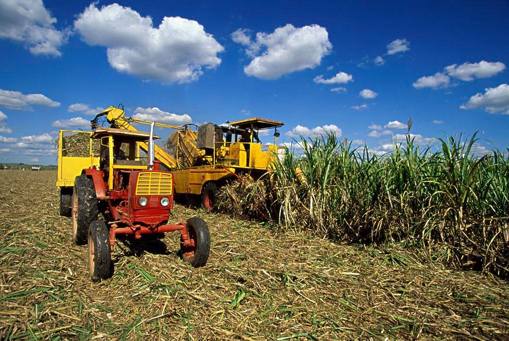现在的古巴现状,古巴真实现状视频
