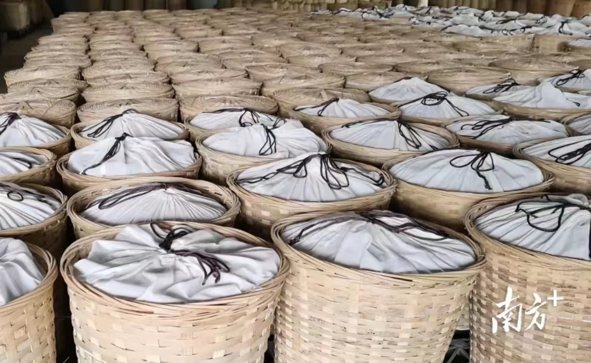 遇见横州：好一朵美丽的茉莉花｜中国十大茶王评比实地考察②