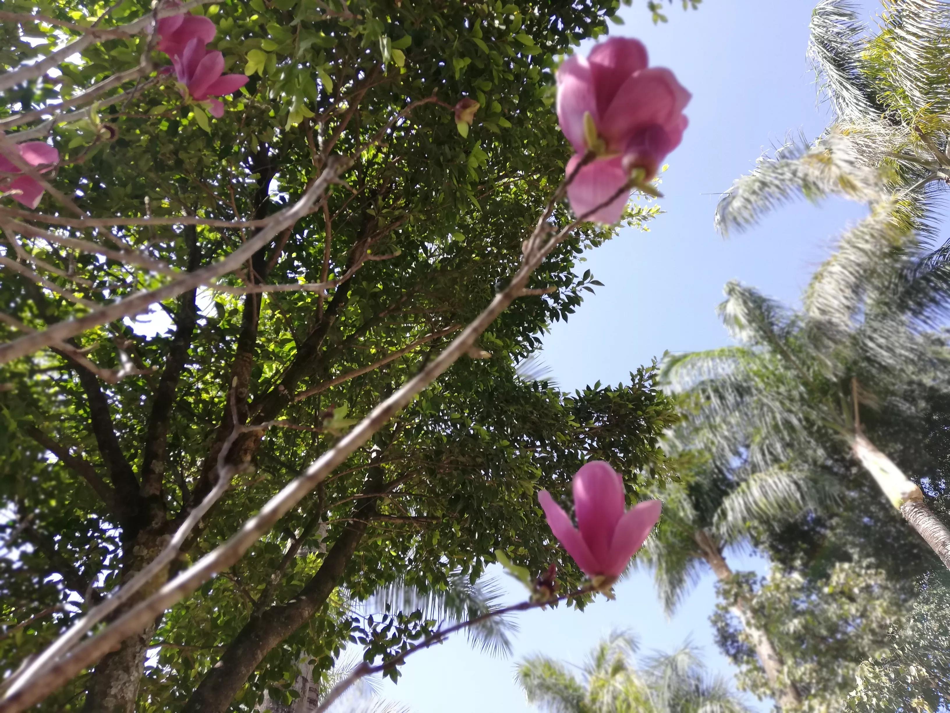 思辨与立场深度讲解,思辨与立场怎么读