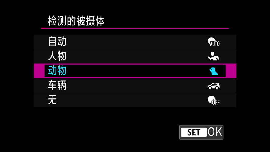 佳能eosr8打鸟,佳能eosr8拍视频变焦